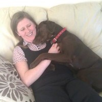 it's A Dogs Life Chorley