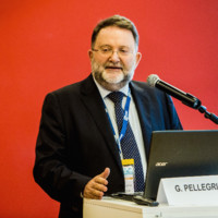 Gaetano Pellegrino