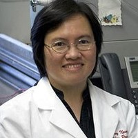Mai-Dung Nguyen