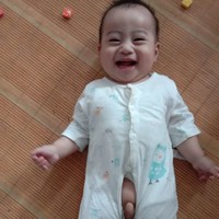 陈淑成