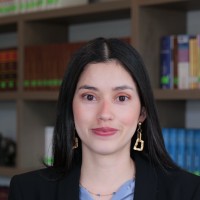 Valeria Bravo Villamar