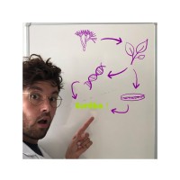 Sylvain LECOMTE, Ph. D.
