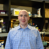 Michael Goldstein