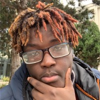 Hamid kamara