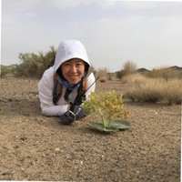 zhengzheng Xuzhengzheng