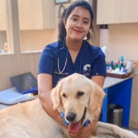 Dr. Sangita Majumder