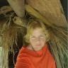Rhonda Taylor