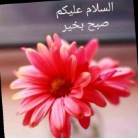 Qurat Ul Ain Mishal