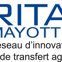 RITA Mayotte Pro