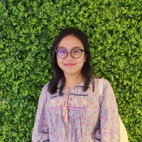Anis Rusli