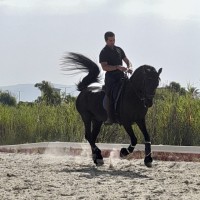 Stefano Pais