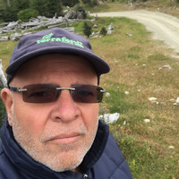 marcelo alfredo lazzarini