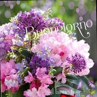 Laura Fiorelli