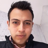 Brian Alejandro Becerril Pintor