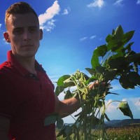 Felipe Zanandrea