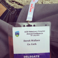 Derek Wallace