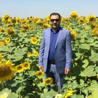 Mohammad Hajiabadi