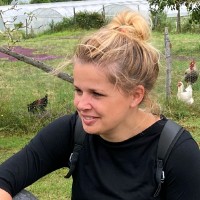 Loes de Krijger