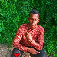 Waberi Ayanleh