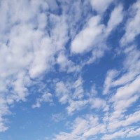 الراوي الراوي