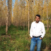 ahmad reza ali khamseh