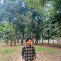 Adil Rashed
