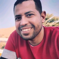 Ahmed Abdel Hakim