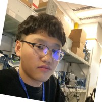 张西赛