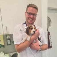 Dr. Alexander Krischak