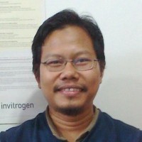 Indra Kusuma
