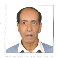elsayed aly