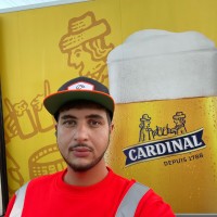 Thamar Bourgou