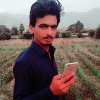 Usman Umar