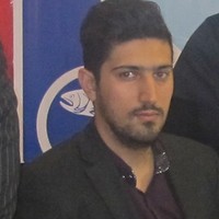 ashkan radsaeed