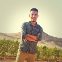 Mohamed Mohsen