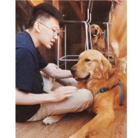 Junior Yang