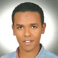 Kareem Salah Ibrahim