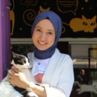 Sema Büyükkayaer