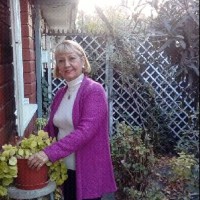 ana maria nolff  pinto