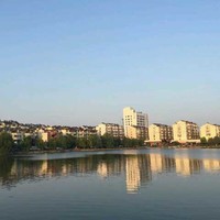 许春苗