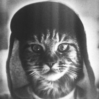 Олександр Гринюк