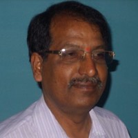 Narasimha Rao rao