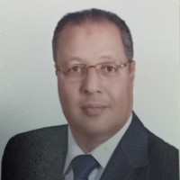 Bahaa Elsayed Abdelraouf