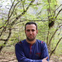 Hamidreza Athari