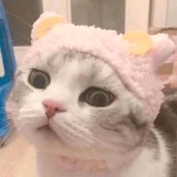 王新昊