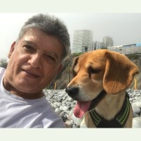 Fernando Velásquez