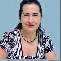 Mitra Oladi