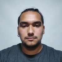 LUIS JORGE ANTONIO ARAYA CONTRERAS