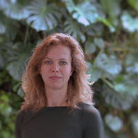 Fleur Scheele