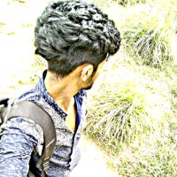Navin V